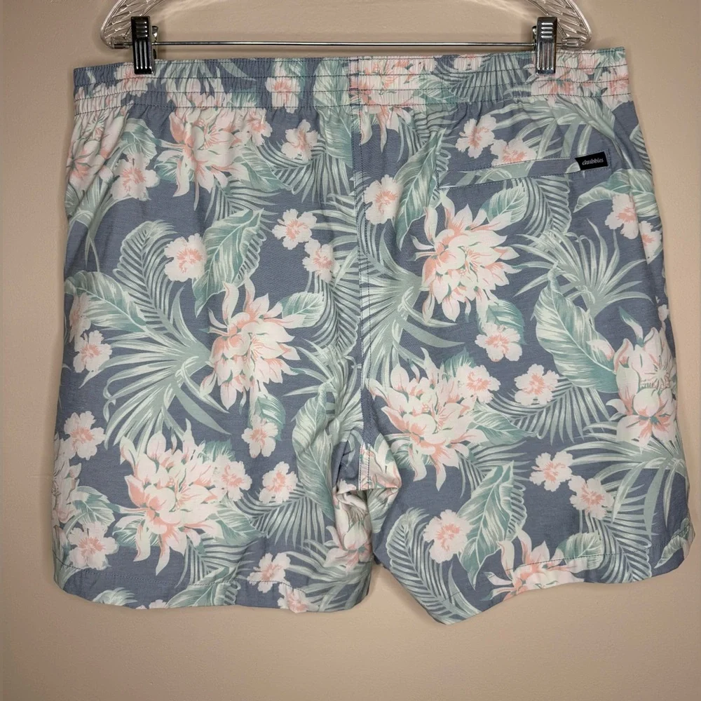 chubbies classic swim